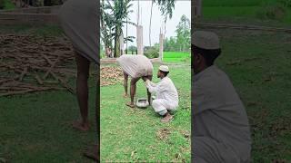 Why don't you give cow's milk?