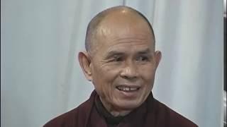 Turn Every Cell On | Dharma Talk by Thich Nhat Hanh, 2005 11 12