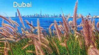 Dubai Creek | Old Dubai | Travel | United Arab Emirates | I Love Dubai Dosti