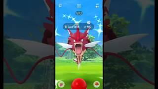 Catch max evolved shiny from mega raid #shorts #mega #shiny #gyarados #evolved #raid #ultragoo