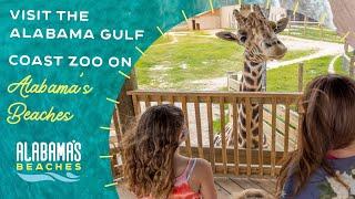 Visit the Alabama Gulf Coast Zoo on Your Visit to Gulf Shores & Orange Beach