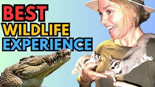 EXPLORE TERRITORY WILDLIFE PARK - The Best Wildlife Experience in the Northern Territory!