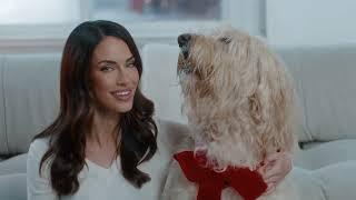 You (Only Gift)-  Jessica Lowndes (Happy Howlidays)