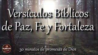 Versículos  Bíblicos que te llenarán de Paz, Fe y Fortaleza | Biblia hablada | Bible audio