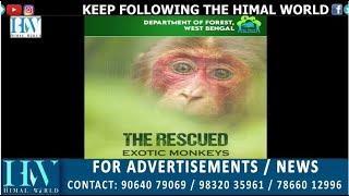 West Bengal Zoo Authority releases video on four rescued exotic monkeys.