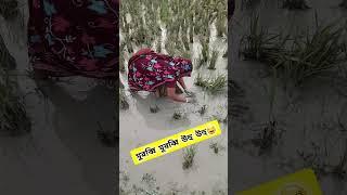 বুজচ্ছেন না নুতুন নুতুন #funny #foryou #funnyshorts #short