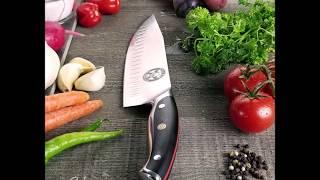 Knife drop test with New Guy Fieri Knuckle Sandwich 8" Chef knife by Ergo Chef