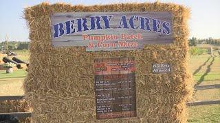 Berry Acres