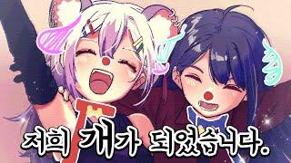 저희 개가 되었습니다.