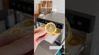 Dehydrated Lemon Wheels