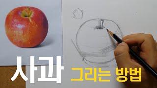 사과그리는방법/사과그리기/드로잉