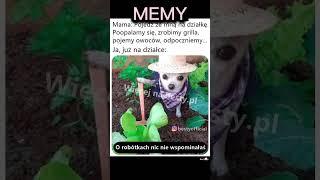 Randomowe memy #5 #śmieszne #memy #humor #shorts