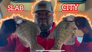 FALL CRAPPIE FISHING ( MONSTER CRAPPIES ) #fishing #crappiefishing