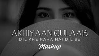 Akhiyaan Gulaab X Dil Keh Raha Hai Dil Se | Mashup | Debb | Mitraz | Adnan Sami