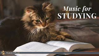 Classical Music for Studying & Brain Power | Mozart, Vivaldi, Tchaikovsky...