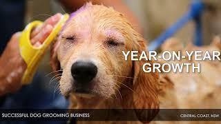 Successful Dog Grooming Business on the Central Coast, NSW