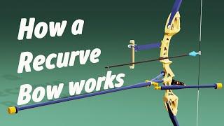 Olympic Recurve Bow | 3D Animation