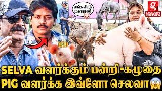 Actor Selva Pets Farm கழுதை பால் லிட்டர் ₹7000-ஆபன்றிக்கு தனி AC Room -ஆமிரள விட்ட Selva