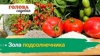 Голова садовая - Зола подсолнечника