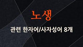 노생에 관한 한자어/사자성어 8개