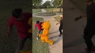 Teddy Bear Funny Video #shorts  #funny #crazyteddy