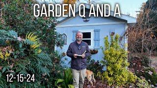 Garden and Landscape Q and A - Winter Pruning, No Judgement, Holly Update, Noxious Weeds