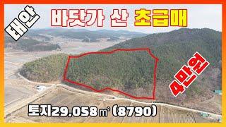 [물건번호2446]태안군 소원면  바닷가 50m 가격싼 산 매매 합니다, 경매가격보다 더 저렴한 임야 급매 합니다, 과수원으로 사용하면 좋은 임야 입니다,