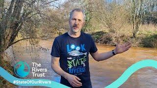 How Unhealthy Are Our Rivers? Read the State of Our Rivers Report