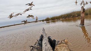 DUCK HUNTING Texas | HUGE FLOCKS On Public Land (Sub-Zero Temps)