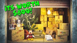 RARE DISNEY ITEM FOUND IN $1500 ABANDONED STORAGE UNIT!