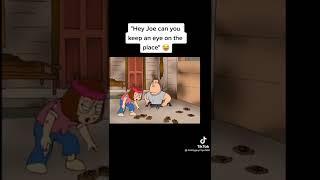 Family Guy Funny Moments Clips Compilation TikTok hey joe can you keep an eye on the place giant rat