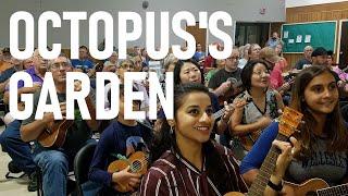 Octopus's Garden (Beatles cover), Austin Ukulele Society