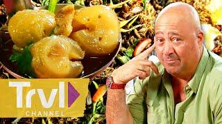 UNFORGETTABLE Meals from Seasons 2 & 3 | Bizarre Foods with Andrew Zimmern | Travel Channel