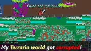 This could happen if your Terraria world gets corrupted ─ Chunk Error world in Terraria!?