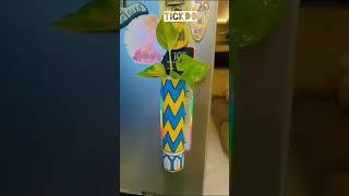 money plant #magnet pot#indoorplants #indoor pot