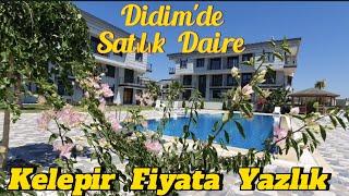 Didim'de Satılık Daire # Havuzlu Asansörlü Güvenlikli Site İçinde Satılık Daire #didim #daire #akbük