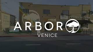 Arbor Collective:: Venice Headquarters & Flagship Store