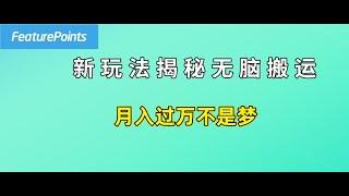 简单操作，每天50美元收入，搬运就是赚钱的秘诀！