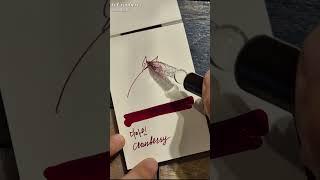 Day6. Cranberry : Diamine inkvent calendar