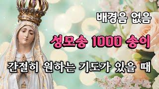  성모송 1000 번 | 배경음 없음 | 간절히 원하는 기도가 있을 때 | 은총 | 마음의 평화 | 치유 | 자비 | 위로 | 잠잘 때 듣는 기도 | 중간광고없음
