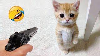 New Funny Animals 2024  Funniest Cats and Dogs Videos  Part 1