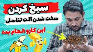 ۵ ماده غذایی برای نعوظ قوی و افزایش زمان رابطه جنسی | افزایش جریان خون در آلت تناسلی | نسخه قوی نعوظ