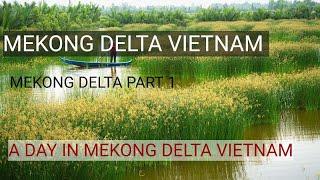 Vietnam part 5 | Mekong delta part 1 with English subtitles | Mekong delta Malayalam vlog |