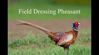 How to field dress a pheasant in 10 seconds - Bushcraft