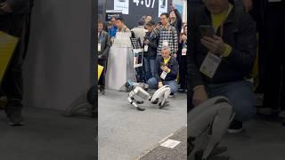 CES 2025 Unitree Humanoid Robot stands up without assistance  #ces2025 Toborlife AI #humanoidrobot