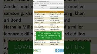 LOWER Excel Function (Celia Alves - Microsoft MVP & Certified Excel Expert)