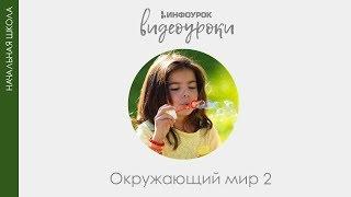 Город и село | Окружающий мир 2 класс #2 | Инфоурок