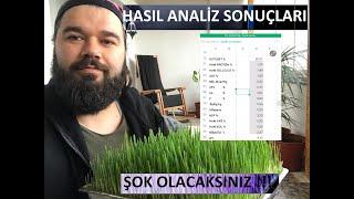 HASIL MUCİZE Mİ / FİYASKO MU ?  (Buğday Arpa Hasıl Laboratuvar Analiz Sonuçları)