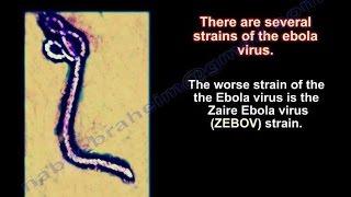 Ebola Virus ,How The Virus Spreads - Everything You Need To Know - Dr. Nabil Ebraheim