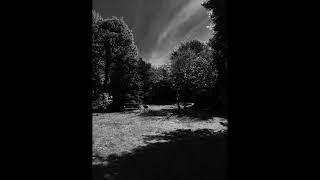Peter Burrows - Out of my head